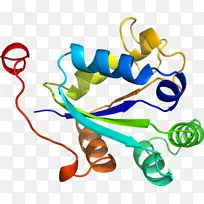 人体珠宝线剪贴画线-空若网 人体珠宝线剪贴画线-空若网