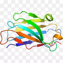 线点剪贴画-线-空若网 线点剪贴画-线-空若网