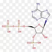 直线点角线-空若网 直线点角线-空若网