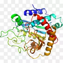 �����л����߶����������-������