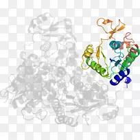 剪贴画树-空若网 剪贴画树-空若网