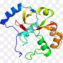 直线点生物动物剪贴画线-空若网 直线点生物动物剪贴画线-空若网