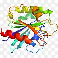 线点生物剪贴画线-空若网 线点生物剪贴画线-空若网