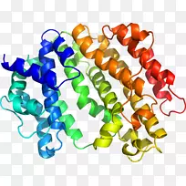 珠宝首饰剪贴画.珠宝-空若网 珠宝首饰剪贴画.珠宝-空若网