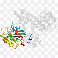 平面设计有机体剪贴画设计-空若网 平面设计有机体剪贴画设计-空若网
