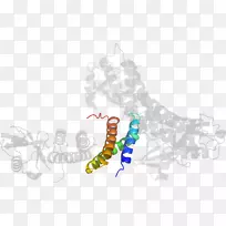 人体珠宝树线条剪贴画-树-空若网 人体珠宝树线条剪贴画-树-空若网