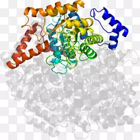 ���߼�����-��-������