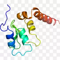 人体首饰有机体线剪贴画线-空若网 人体首饰有机体线剪贴画线-空若网