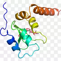 ������Ҷ���������-����-������