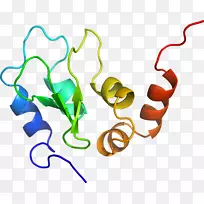 人体珠宝线有机体剪贴画线-空若网 人体珠宝线有机体剪贴画线-空若网
