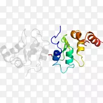 有机体平面设计剪贴画设计-空若网 有机体平面设计剪贴画设计-空若网
