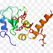 �ߵ������������-������