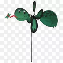 树蛙昆虫佛罗里达-青蛙-空若网 树蛙昆虫佛罗里达-青蛙-空若网