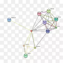直线点角线-空若网 直线点角线-空若网