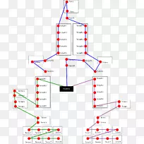 ֱ�ߵ����֯��-������