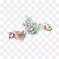 ʥ����װ��Ʒ�����鱦ʥ��������-����-������