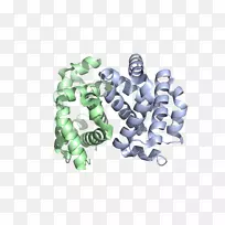 塑料车身首饰.智人-空若网 塑料车身首饰.智人-空若网