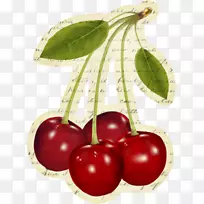 �����������¼��ͰͶ�˹ӣ��ʳƷ������-������