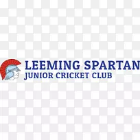 旗帜标志品牌线旗-空若网 旗帜标志品牌线旗-空若网