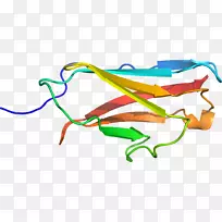 �ߵ������-��-������