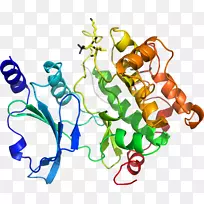 �����߶����������-������