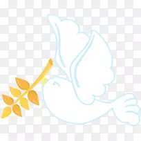 花瓣叶植物茎桌面壁纸开花植物邀请洗礼-空若网 花瓣叶植物茎桌面壁纸开花植物邀请洗礼-空若网