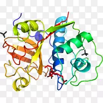 �ߵ������������-������