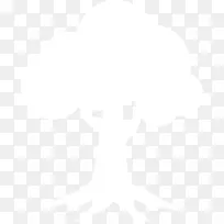 墨尔本风暴纽卡斯尔骑士,南悉尼,拉比托,澳大利亚,男子汉华林加海鹰-澳大利亚-空若网 墨尔本风暴纽卡斯尔骑士,南悉尼,拉比托,澳大利亚,男子汉华林加海鹰-澳大利亚-空若网