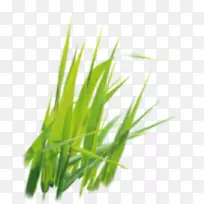 Ìð²Ý¡¢Ïã¸ù²Ý¡¢ÉÌÆ·Âó²Ý¡¢Ö²Îï¾¥-Ö²Îï-¿ÕÈôÍø Ìð²Ý¡¢Ïã¸ù²Ý¡¢ÉÌÆ·Âó²Ý¡¢Ö²Îï¾¥-Ö²Îï-¿ÕÈôÍø