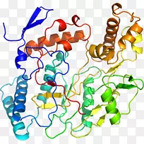 人体首饰有机体线剪贴画线-空若网 人体首饰有机体线剪贴画线-空若网