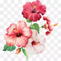 水彩画:花卉水彩画-我们的使命-空若网 水彩画:花卉水彩画-我们的使命-空若网