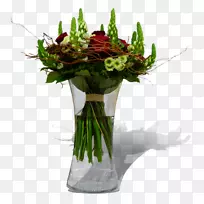 刺五加植物-花杯-空若网 刺五加植物-花杯-空若网