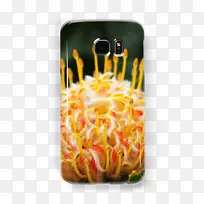 菜谱-菜肴-空若网 菜谱-菜肴-空若网