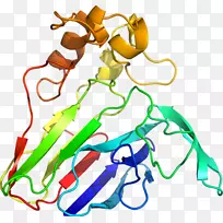 树线剪贴画-树-空若网 树线剪贴画-树-空若网