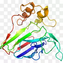 人体首饰有机体线剪贴画线-空若网 人体首饰有机体线剪贴画线-空若网