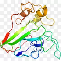植物茎体珠宝线剪贴画线-空若网 植物茎体珠宝线剪贴画线-空若网