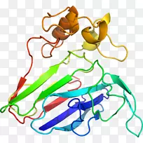 �ߵ������-��-������