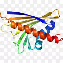 线点生物剪贴画线-空若网 线点生物剪贴画线-空若网