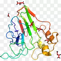 �ߵ�����������-������