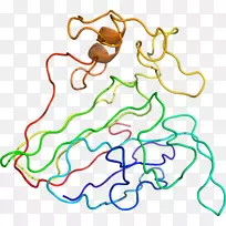 ���߼�����-��-������