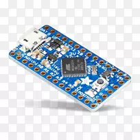 Ӣ�ض�٤���԰���ŵӢ�ض����Ӣ�ض�������-������