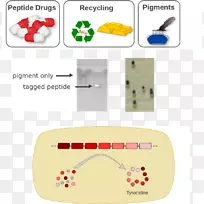 �����������-������