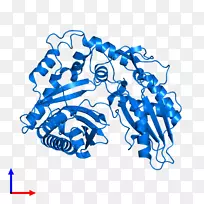 线点生物剪贴画线-空若网 线点生物剪贴画线-空若网