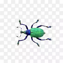 �׳��ͼ-���桢��-������