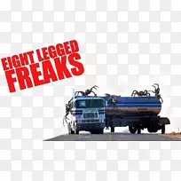 蜘蛛机动车辆运输-蜘蛛-空若网 蜘蛛机动车辆运输-蜘蛛-空若网