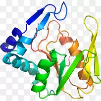 人体首饰有机体线剪贴画线-空若网 人体首饰有机体线剪贴画线-空若网