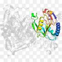 平面设计剪贴画.设计-空若网 平面设计剪贴画.设计-空若网
