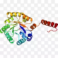 人体首饰有机体线剪贴画线-空若网 人体首饰有机体线剪贴画线-空若网