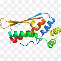 线点生物剪贴画线-空若网 线点生物剪贴画线-空若网