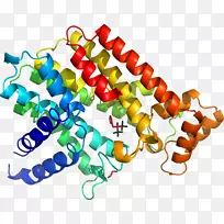 人体珠宝线剪贴画线-空若网 人体珠宝线剪贴画线-空若网